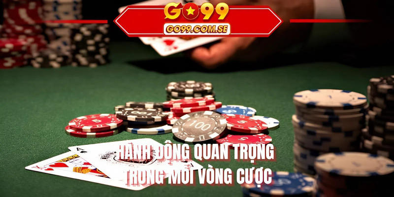 Hành động quan trọng trong mỗi vòng cược